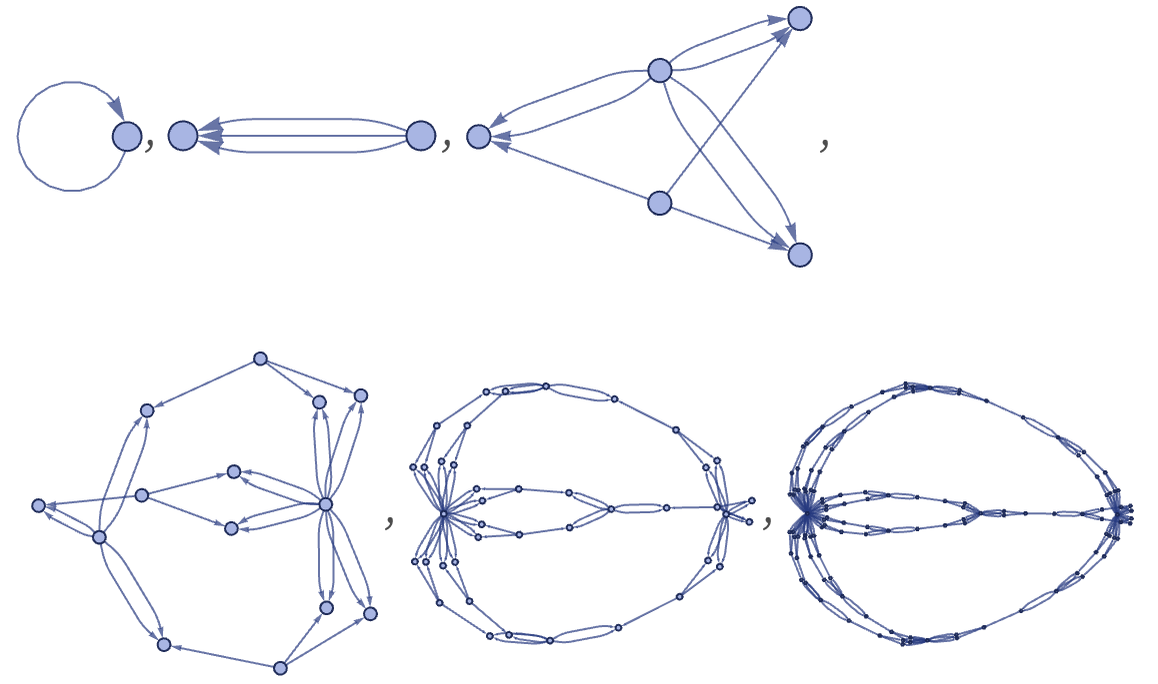 Multiedges: Wolfram Physics Project Technical Background